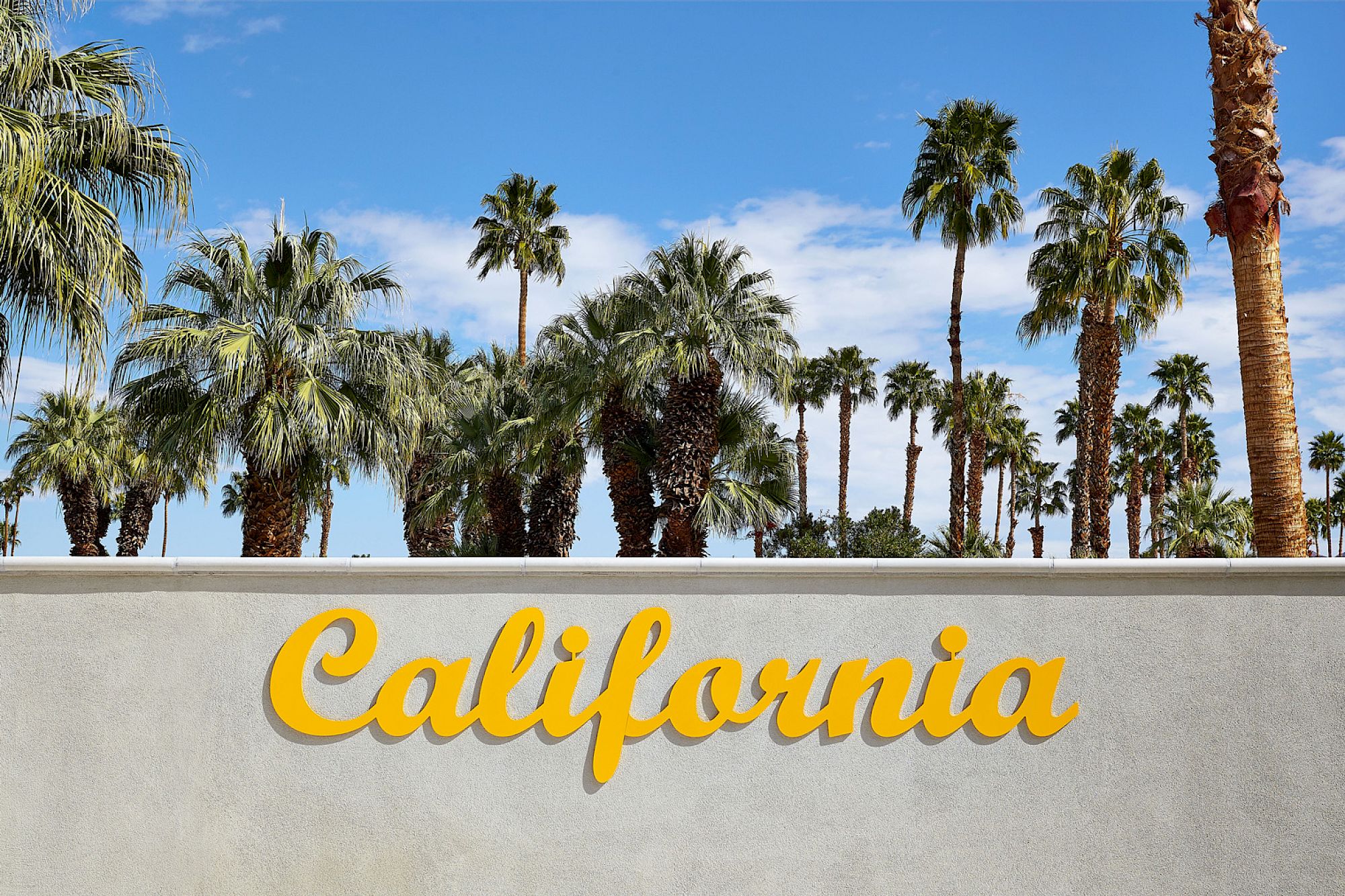 The image features palm trees under a blue sky, behind a wall with "California" written in yellow cursive letters.